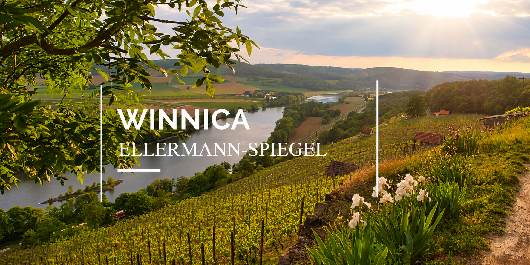 Winnica Ellermann-Spiegel