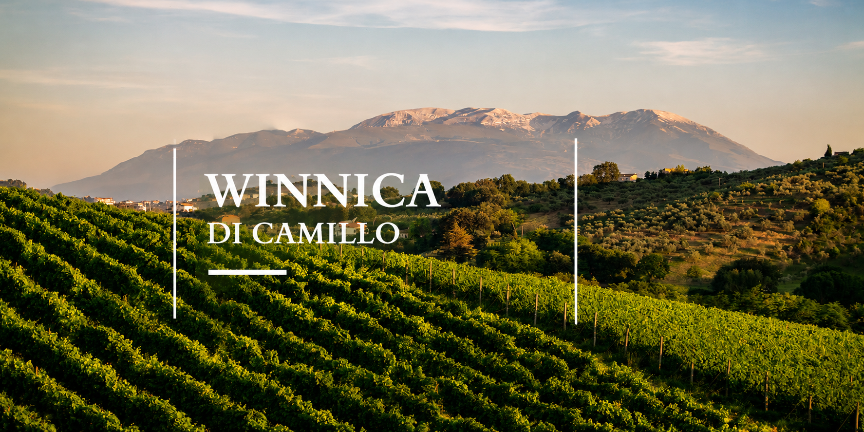 Winnica Di Camillo Vini