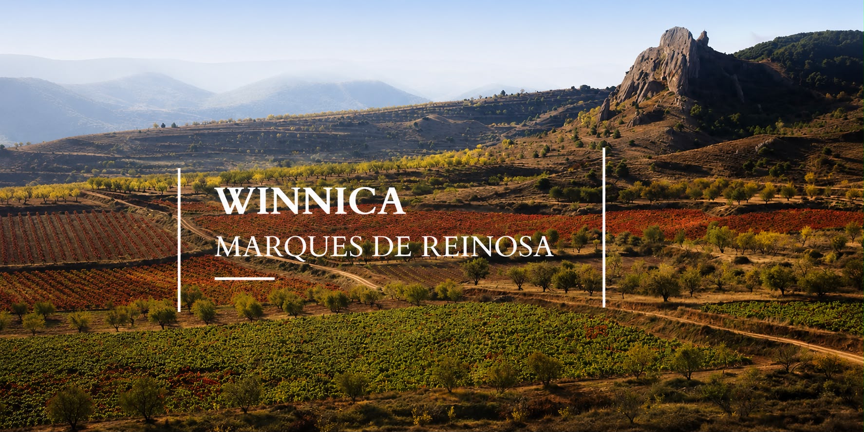 Winnica Marques De Reinosa